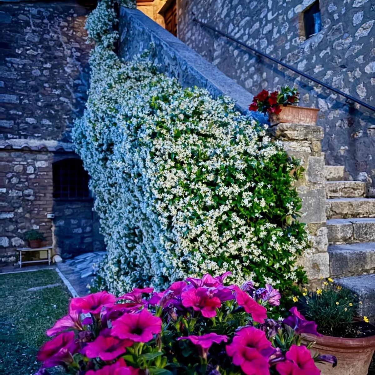 Bed and Breakfast Residenza Santa Maria In Borraccia Мальяно-ин-Тоскана Экстерьер фото