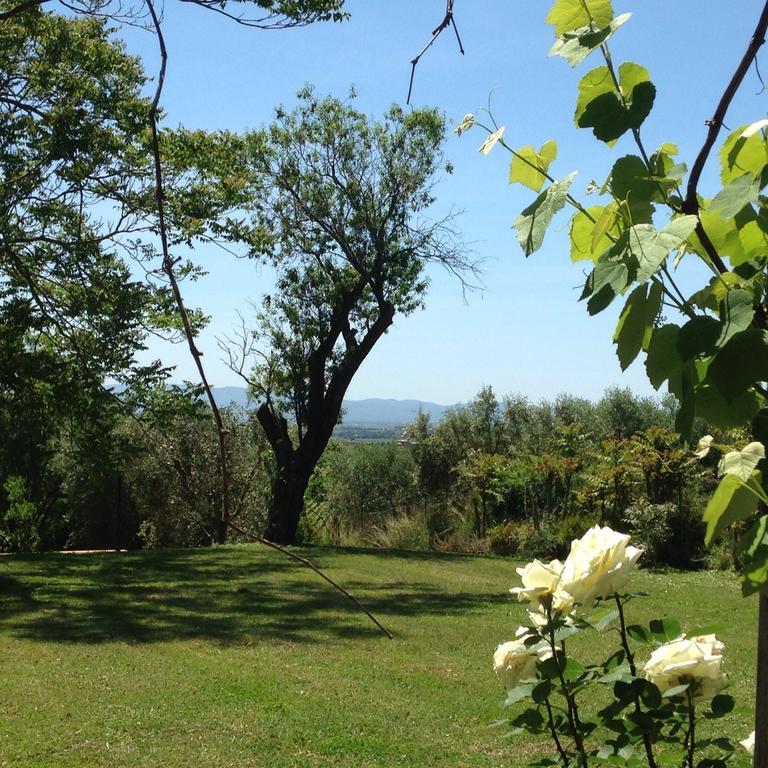 Bed and Breakfast Residenza Santa Maria In Borraccia Мальяно-ин-Тоскана Экстерьер фото
